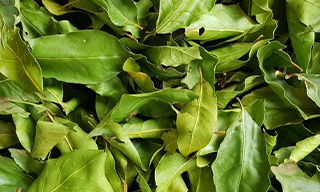 HOME-PAGE-SECTION-THREE-IMAGE-TWO